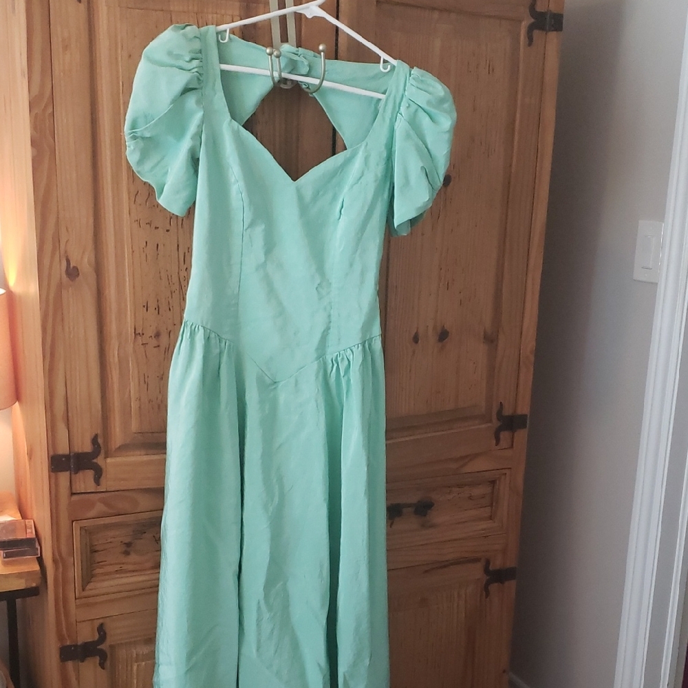 Alfred Angelo Light Green Backless Dress